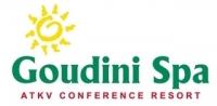 Goudini Spa Networking Experience